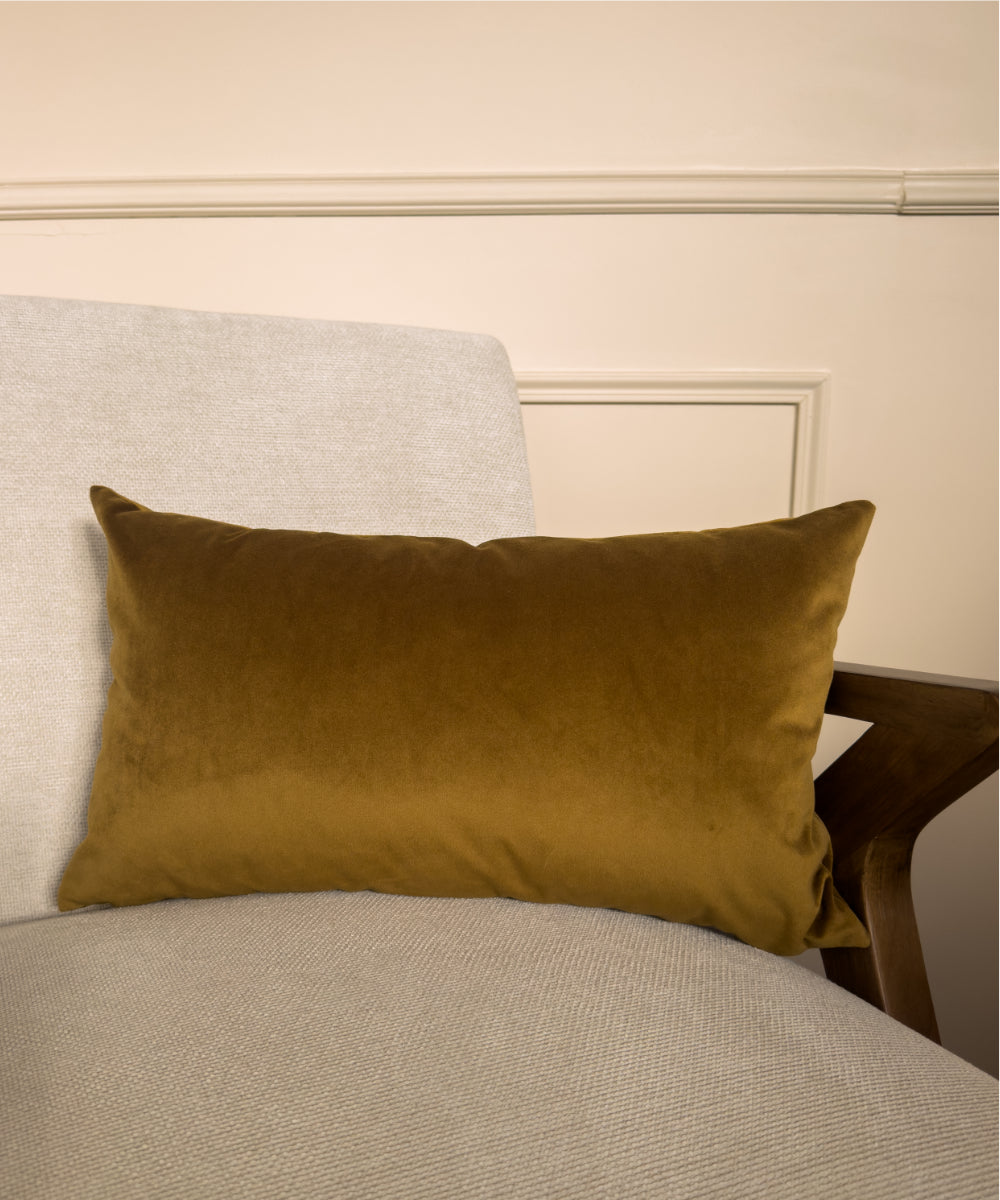 Coussin en velours couleur bronze #couleur_bronze