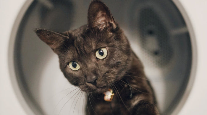 Entretien des draps en machine